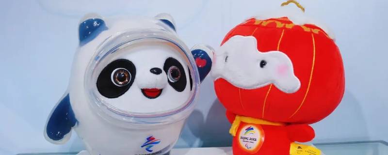 冰墩墩雪容融区别（冰墩墩和雪容融长什么样）