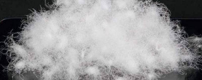 90鹅绒是什么意思 鹅绒被95和90是什么意思