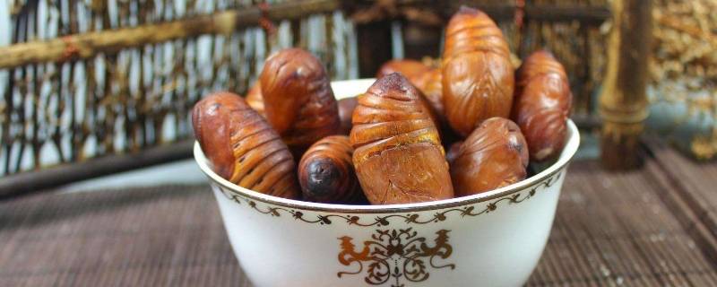 蚕蛹冬季保存方法（蚕蛹的保存时间）