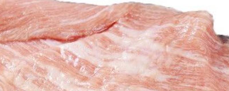 肉青是什么 肉青是什么位置