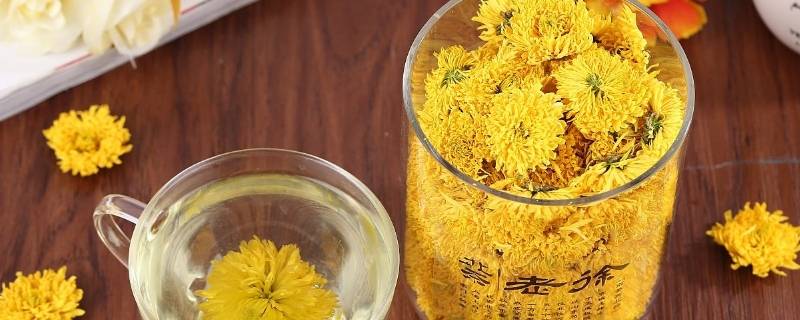 烘干菊花需要多少度(野菊花烘干需要多少度)