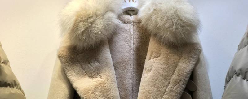 皮毛一体衣服水洗可以恢复吗（皮毛一体衣服水洗还能拯救吗）