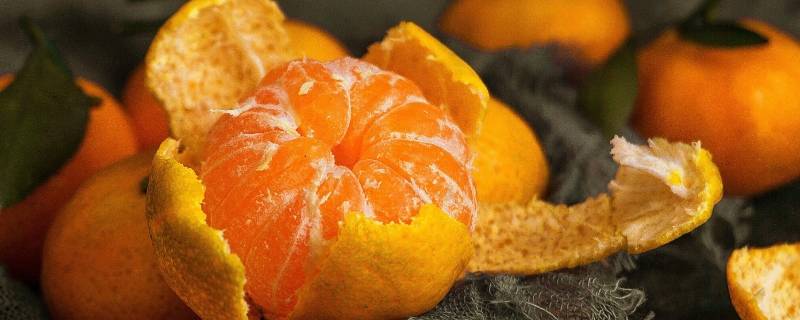 橘子怎么分公母哪个甜 怎么分母橘子和公橘子