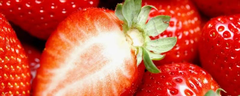 草莓存放时间及方法（草莓的存放时间）
