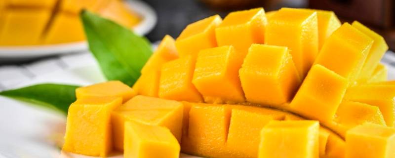 芒果还是杧果（芒果跟杧果有区别吗）