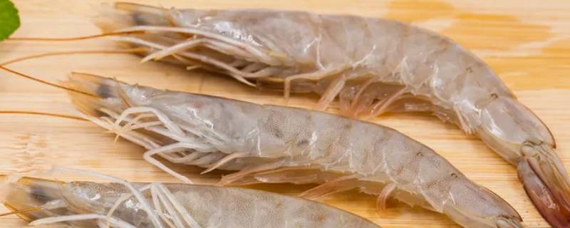 虾怎么保存才新鲜 皮皮虾怎么保存才新鲜