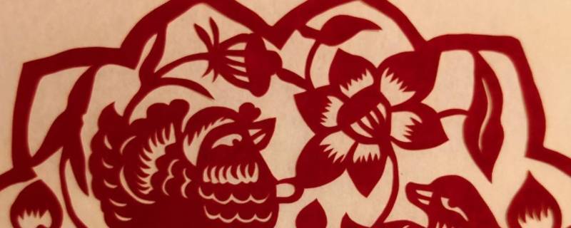 窗花的知识有哪些（关于窗花的知识有哪些）