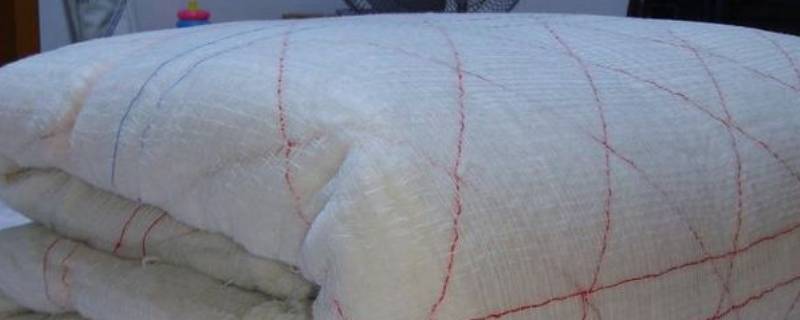 冬被芯什么材质的保暖又轻 冬天用什么被芯既轻又暖和