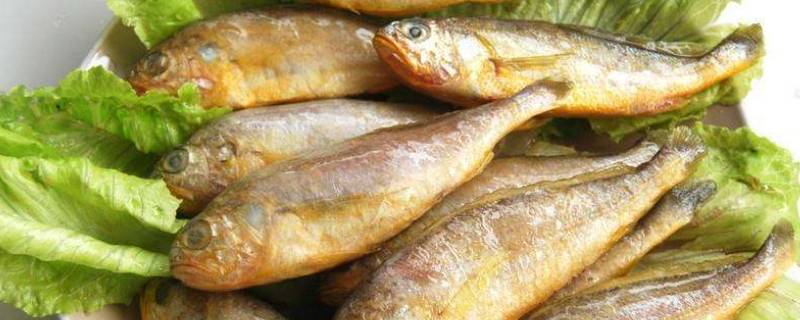 小公鱼需要去内脏吗（小公鱼要不要去内脏）