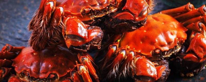 11月份吃什么螃蟹 十一月份吃什么螃蟹