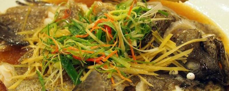 多宝鱼冷冻后影响口感吗（多宝鱼是冷冻还是保鲜）