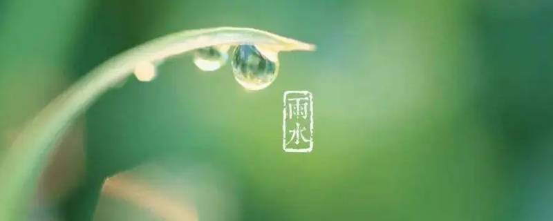 雨水节气吃什么（雨水节气吃什么食物）