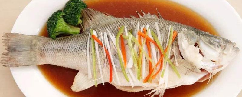 鱼要蒸多久（多宝鱼要蒸多久）