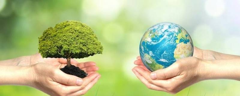 环境保护对个人的作用（个人在保护环境方面的作用）