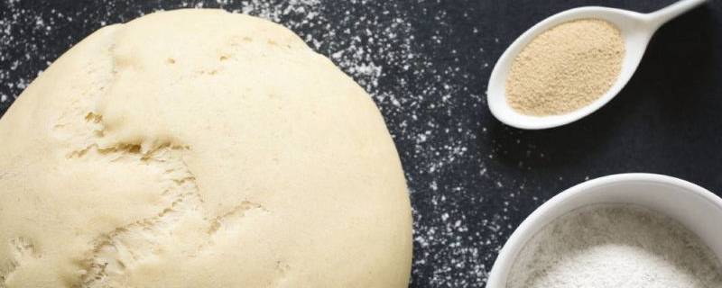 60度的水会杀死酵母吗 50度的水酵母会不会死