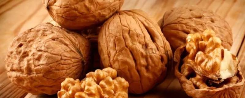 核桃在我国历史上是怎样传播开的（核桃是怎样传入中国的）