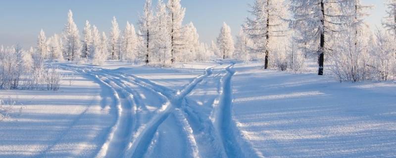 雪的成分主要是什么 雪是什么成分组成的