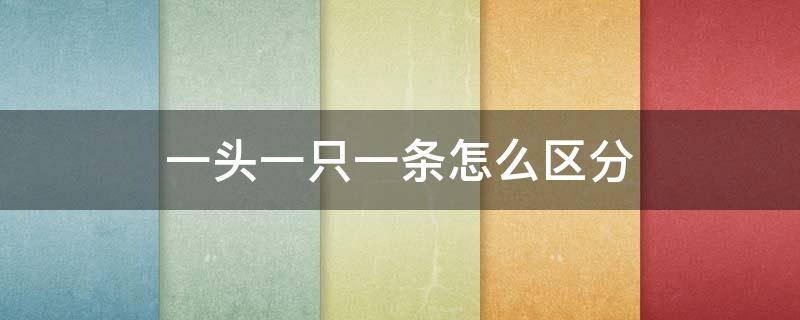 一头一只一条怎么区分 一头一条一只一个怎么用
