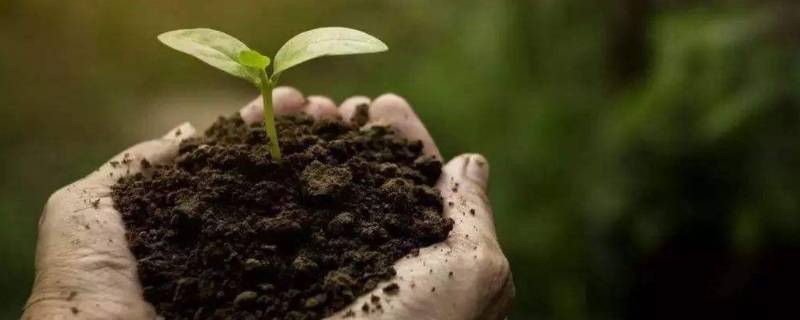 保护土地的建议 保护土地的建议20字