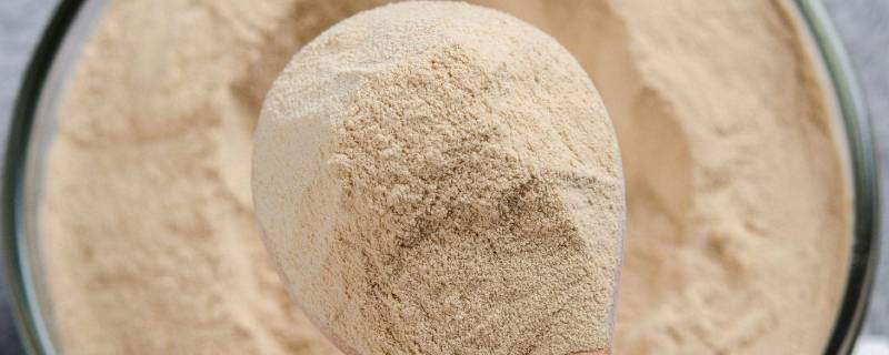 酵母能代替酒曲吗（酵母可以代替酒曲吗?）