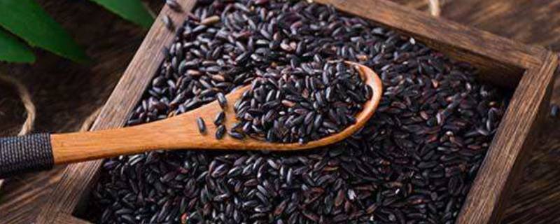 黑米有两千多年的种植历史吗（黑米的出产地）