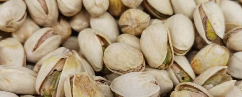 开心果是进口的吗 开心果进口商