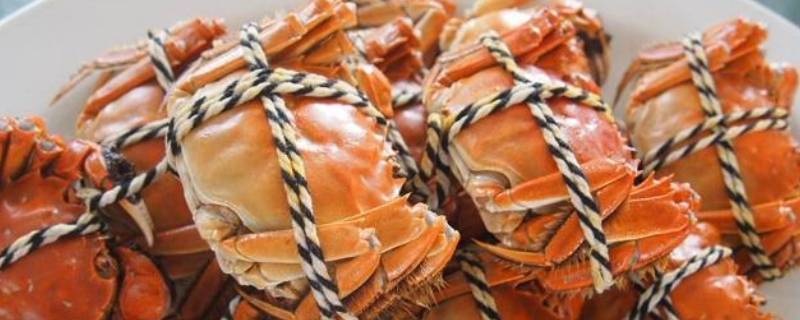 蒸螃蟹需要蒸几分钟 蒸螃蟹需要蒸几分钟?