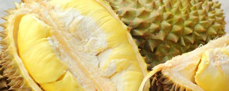 没熟的榴莲打开了怎么办（没熟的榴莲打开了怎么办?）
