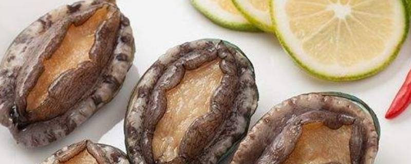 鲍鱼煮多久就熟了 去壳鲍鱼煮多久就熟了