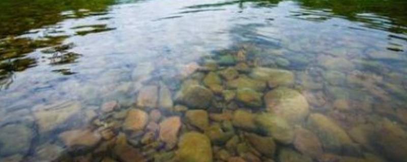 保护河流的建议10条 保护河流的建议20条