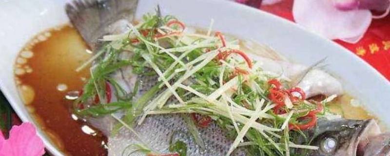 蒸鲈鱼需要几分钟（微波炉蒸鲈鱼需要几分钟）