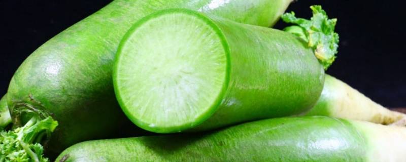 绿萝卜和白萝卜有什么区别 绿萝卜和白萝卜有啥区别