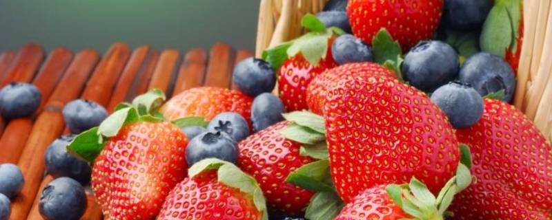 冷库储存水果放防腐剂吗（冷库保存水果是否加保鲜剂）