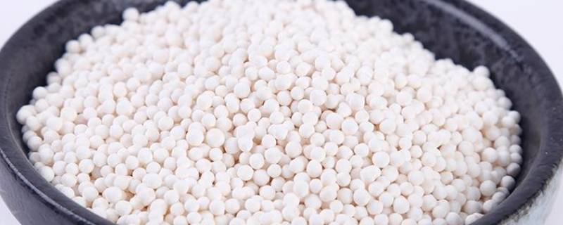 西米可以煮粥喝吗 西米可以熬粥吃吗?