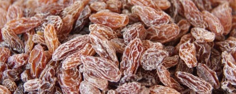葡萄干属于坚果吗（葡萄干是坚果吗?吃葡萄干有什么好处?）