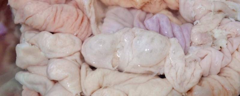 大肠如何快速翻面 猪大肠怎么翻面快