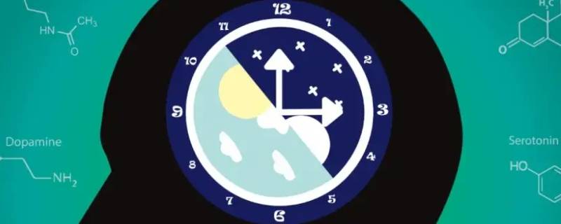 生物钟是几点到几点（生物钟怎么知道早上几点）