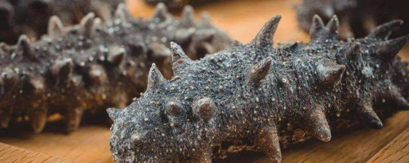 如何清洗海参（如何清洗海参视频教程）