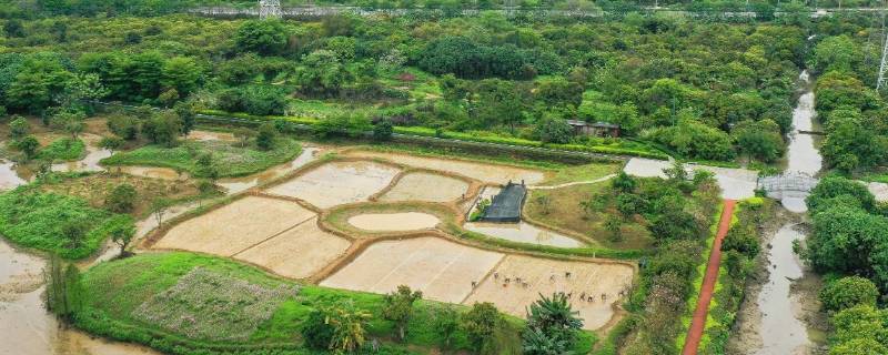 10亩地有多大 10亩地有多大图片