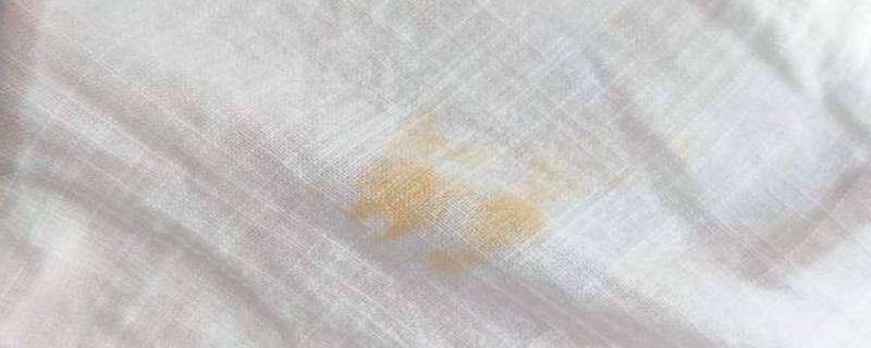 衣服弄到油渍怎么洗掉 衣服弄到油渍怎么洗掉 两三天