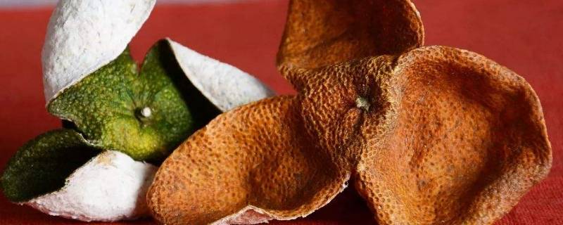 陈皮和青皮有什么区别（陈皮与青皮有什么区别）