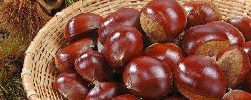 为什么炒栗子要放石子 为什么炒栗子要放石子telegram