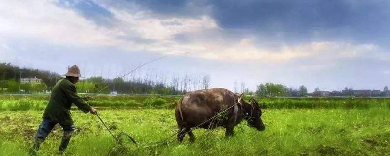 春耕是几月 春耕是几月几日