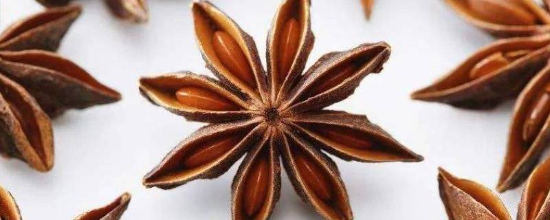 八角采摘后为何要水煮 刚摘八角为什么要煮