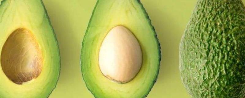 牛油果打开后可以放多久（牛油果切开了能保存多久）