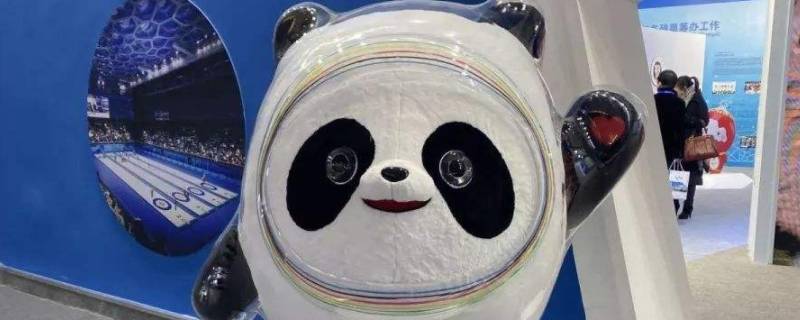 冰墩墩的来历是什么 冰墩墩的来历是什么简写20字