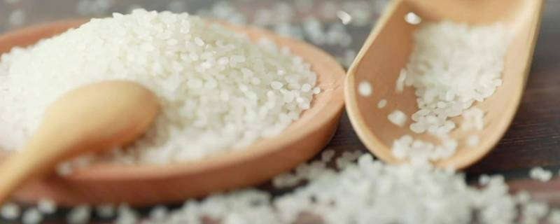 什么食物是基础 食材基础知识