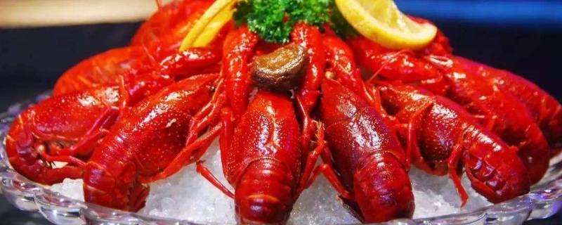 龙虾怎么清洗干净又快（龙虾最快清洗方法）