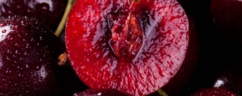 二合一车厘子是什么意思（车厘子 二合一）