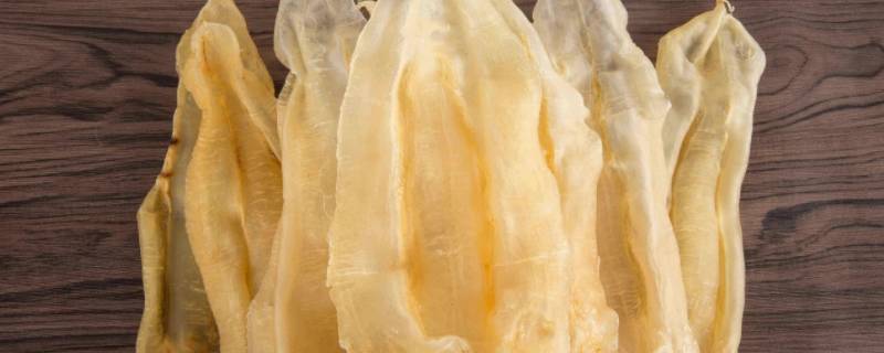 花胶是鱼肚吗（花胶是什么鱼的鱼肚）